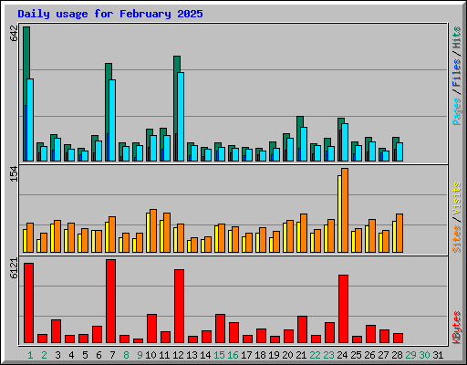 Daily usage for February 2025
