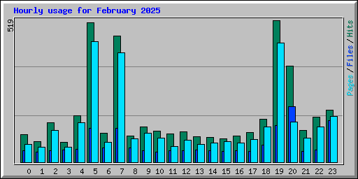 Hourly usage for February 2025
