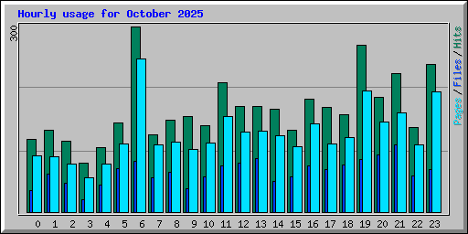 Hourly usage for October 2025