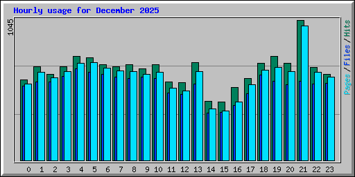 Hourly usage for December 2025