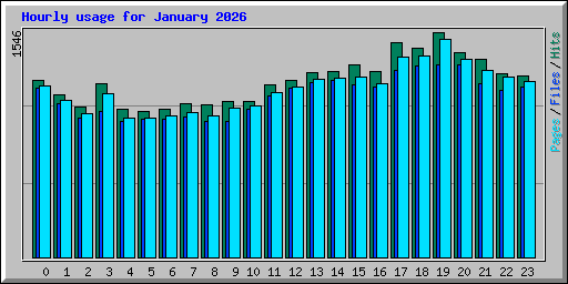 Hourly usage for January 2026