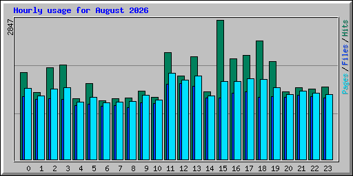 Hourly usage for August 2026